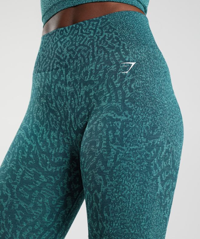 Gymshark adapter les leggings sans couture pour animaux récif | sarcelle d\hiver femmes 6HF28292